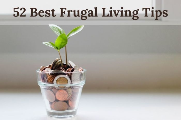 Living frugal tips 2021 june march